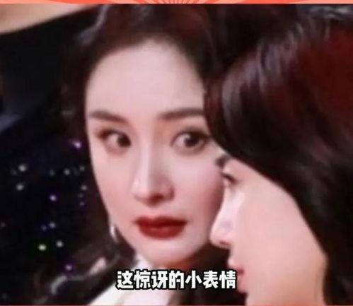 吃瓜的娱乐圈